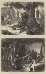 Australian Gold Diggings